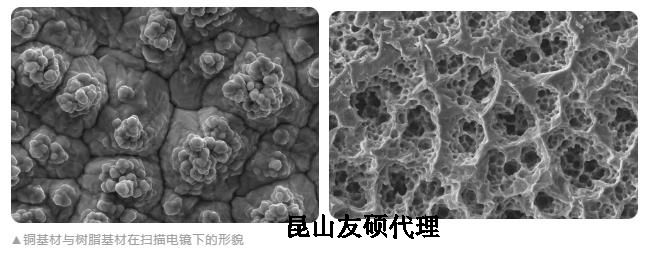 信阳蔡司信阳扫描电镜